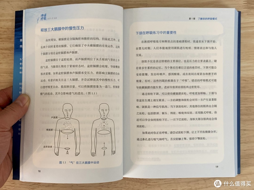 《呼吸疗愈》——在每一次吐纳间找回自我