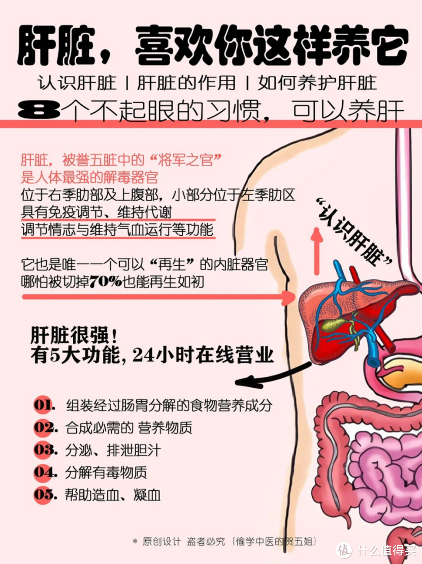 肝脏--喜欢你这样养它！超全的养肝攻略！