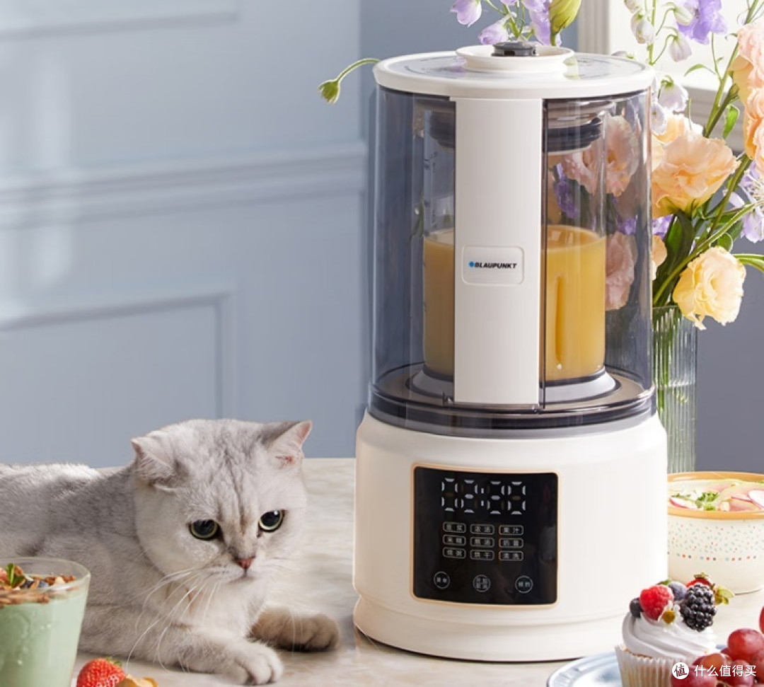 哪个品牌的破壁机好？五大良品测评盘点