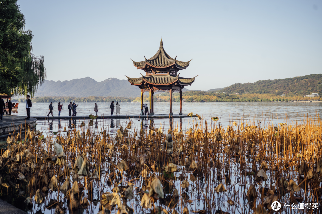 6元起步！去看秋日好风景