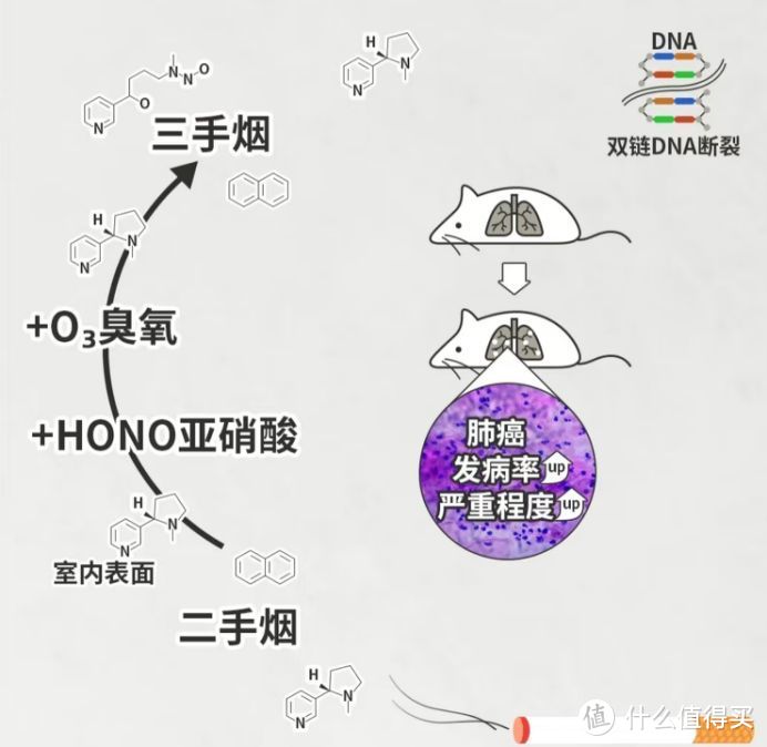 消除二手烟的空气净化器叫什么？除二手烟最好的空气净化器分享