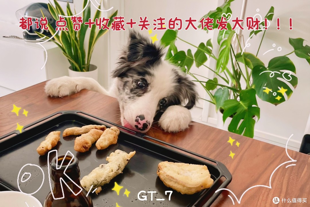 新年必入：实用价值与折腾乐趣兼备的数码设备，工作娱乐两不误