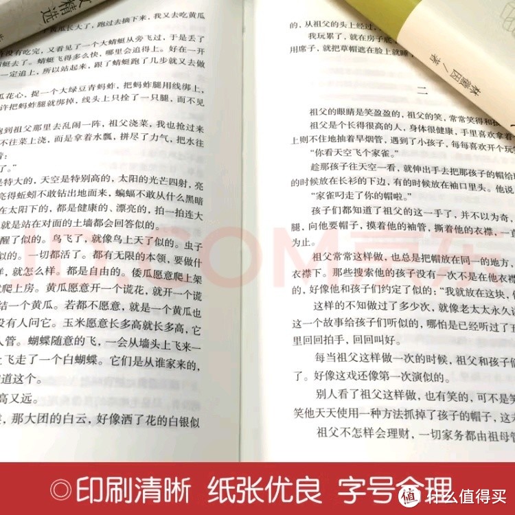 《呼兰河传》，带你领略文学魅力！让阅读成为一种享受！