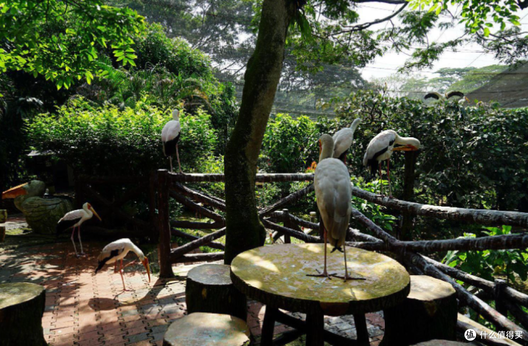 吉隆坡旅游攻略