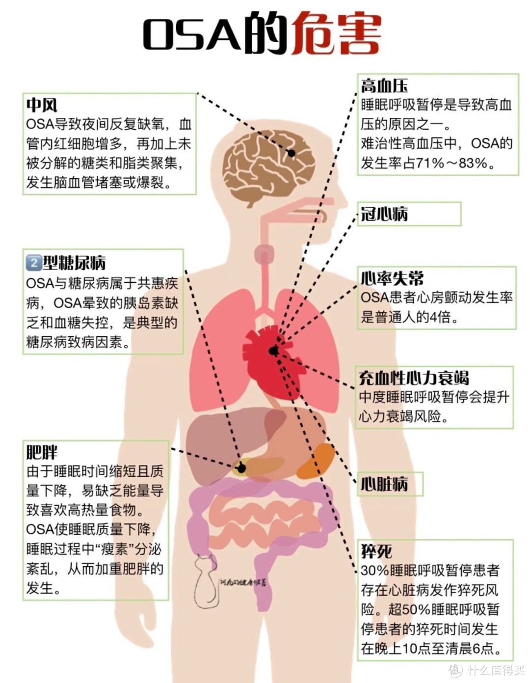 有氧止鼾，静享好梦，乐普多导双水平呼吸机，让家人睡上好觉！