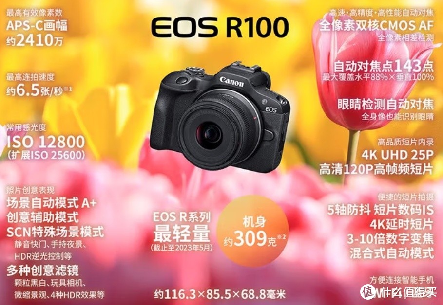 佳能 EOS R100：记录美好之旅的绝佳伴侣