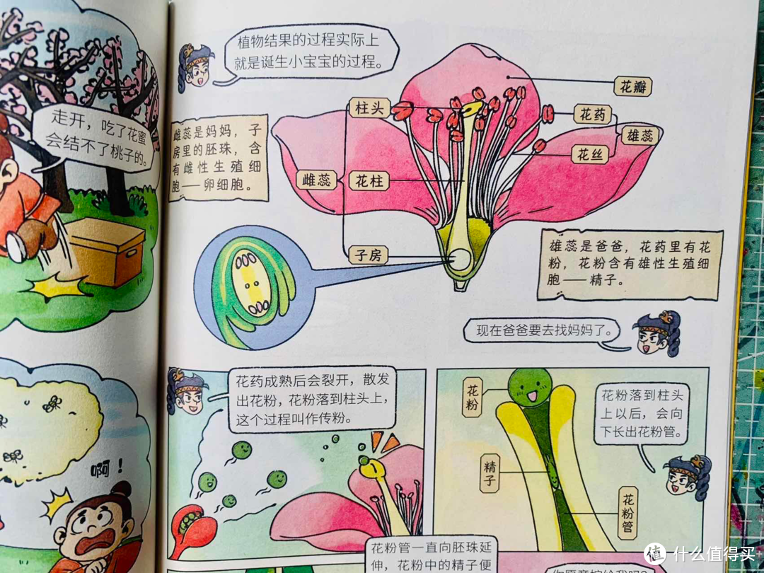 揭秘！如何用漫画让孩子成为生物小达人|基因少侠的寒假任务