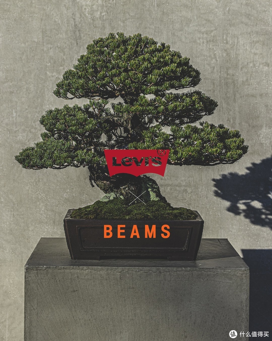 全新 Levi’s x BEAMS 「SUPER WIDE COLLECTION」联名系列发布