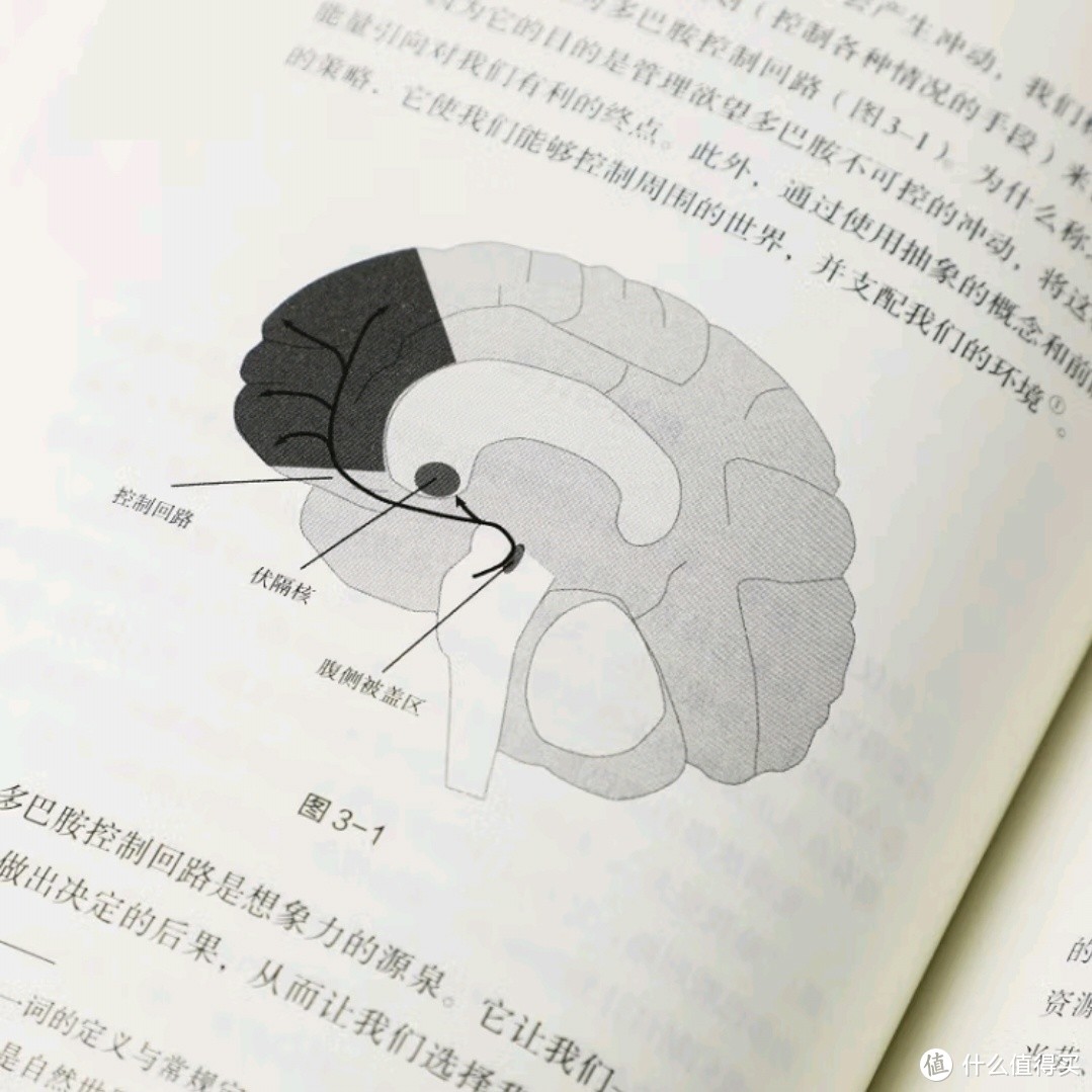 多巴胺的秘密：欲望与创造力的源泉？