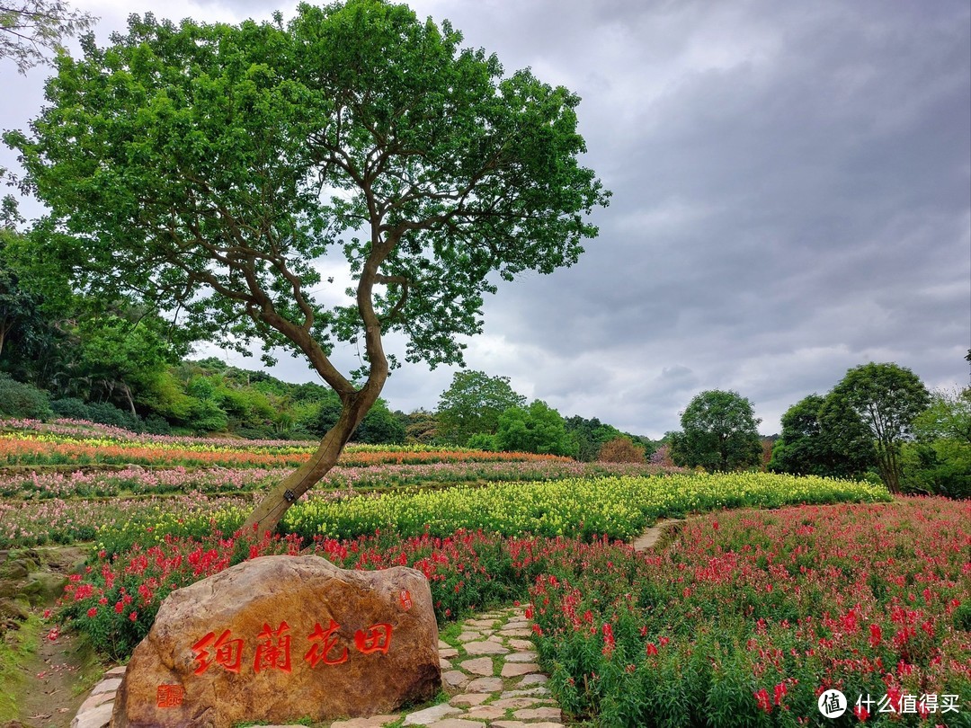 南宁青秀山一日游：家庭欢乐的自然探索之旅