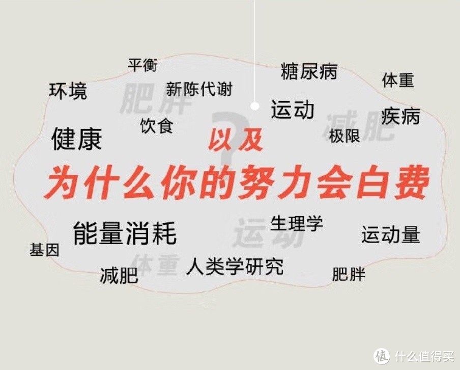 探寻能量之谜：揭秘新陈代谢的极限——《燃烧吧，能量》浅读