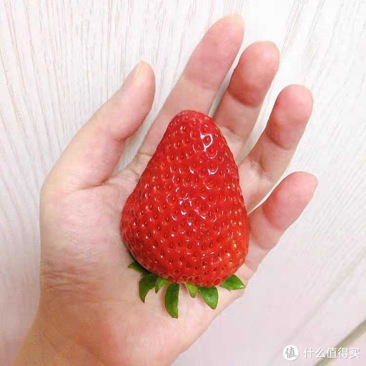 🍓✨【丹东上大分！我从未吃过如此细腻水润的草莓🍓】👑