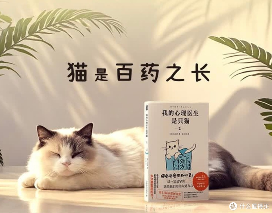 猫咪疗愈心灵——《我的心理医生是只猫2》