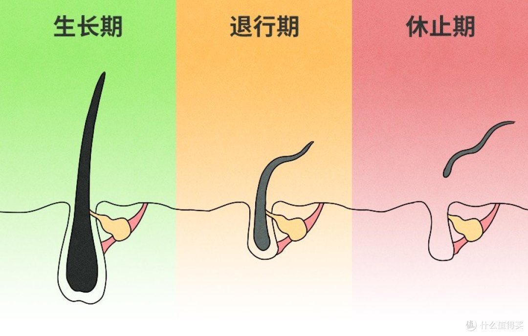 横评 | 脱发怎么办——4款我用过的大火🔥防脱洗发水，优缺点通通告诉你～