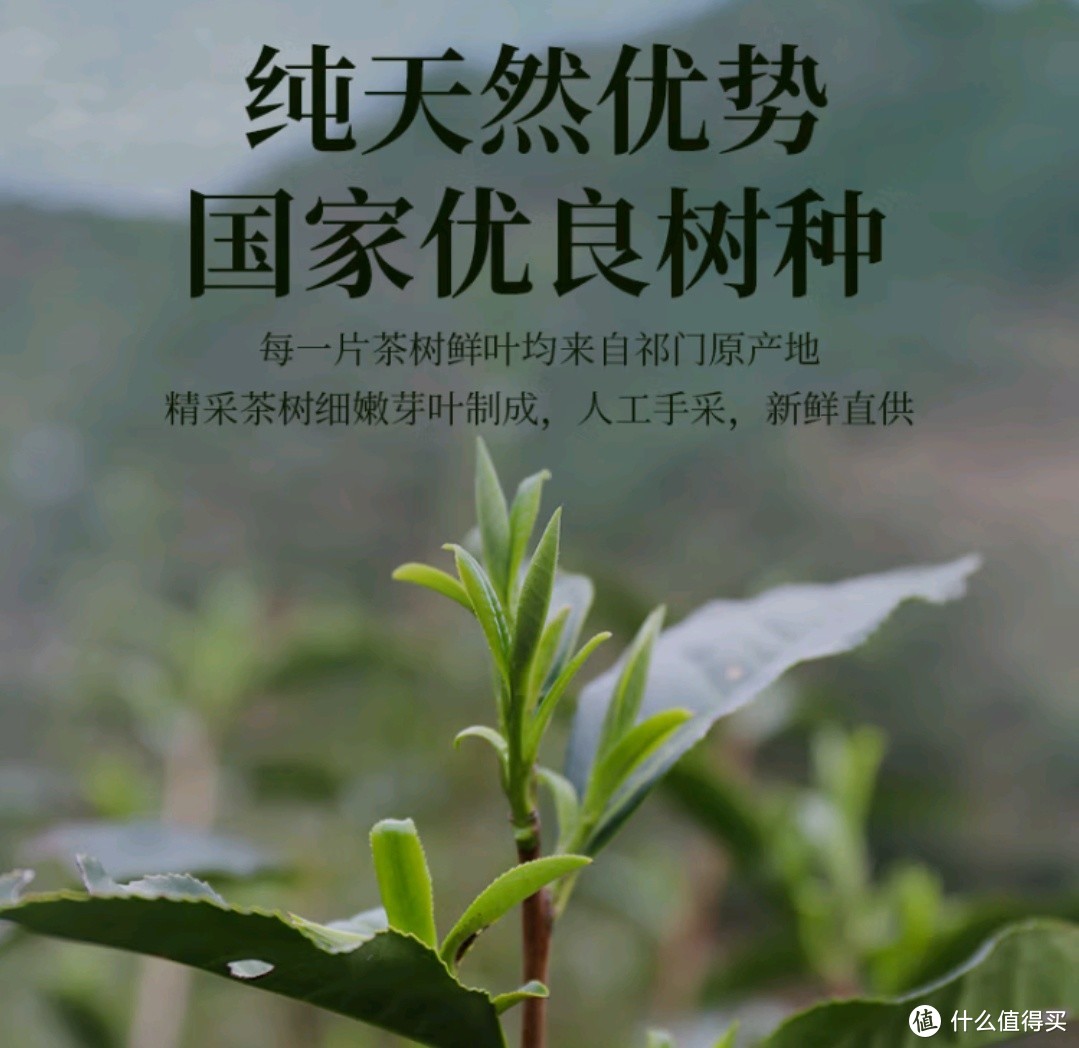 红碎茶和功夫红茶，都是比较碎，但是这是两个品种