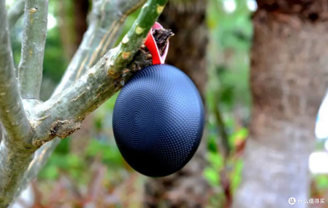 蓝牙音箱哪款好用又实惠？2025年音质极佳与性价比蓝牙音箱推荐