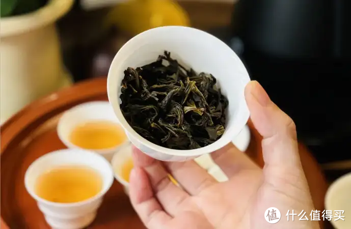 新手小白应该怎么喝茶？七大茶类口粮茶品牌推荐！