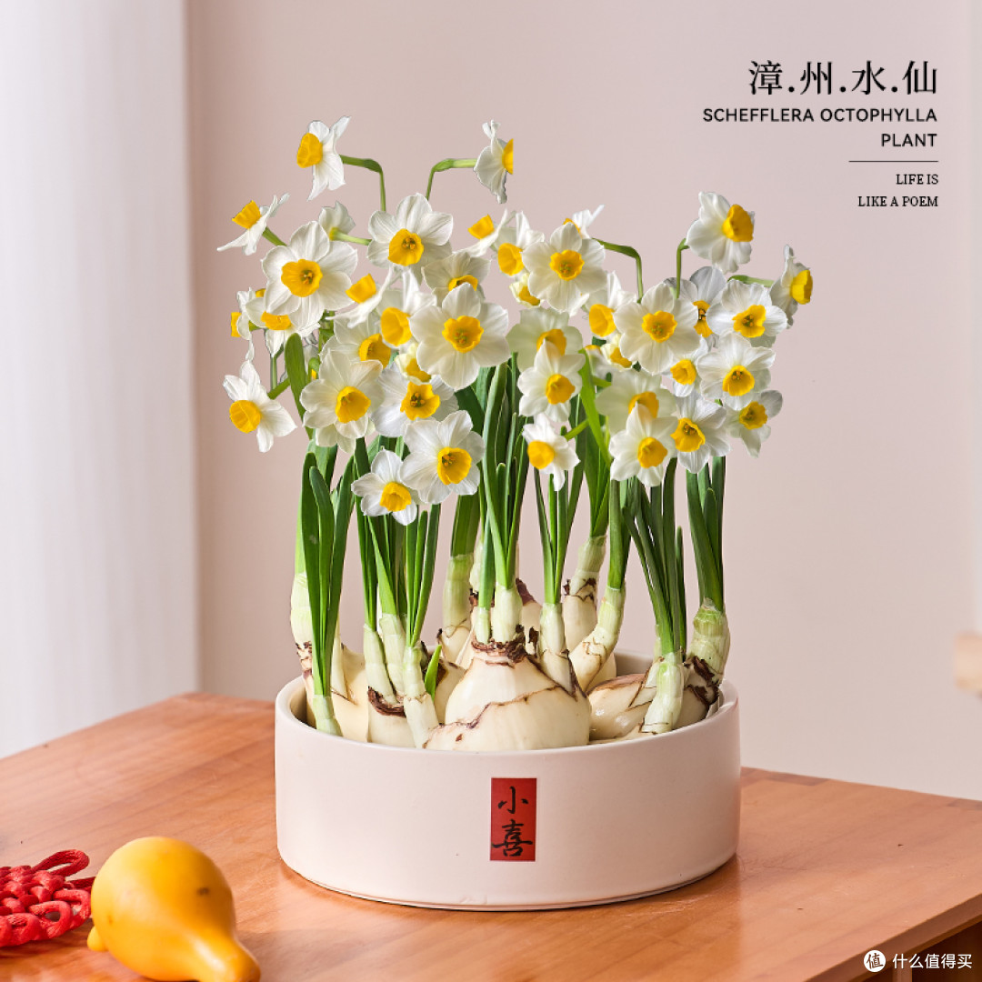 过年就要有仪式感！26款便宜的小物件立马让年味变得更浓