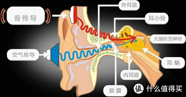 老年人戴助听器是刚需吗？内附科大讯飞、左点助听器多维度测评！