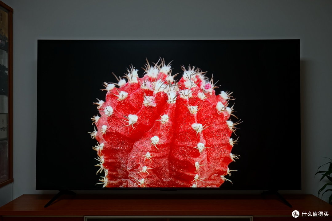 2025年高画质电视怎么选？TCL T6L QD-Mini LED电视实测！