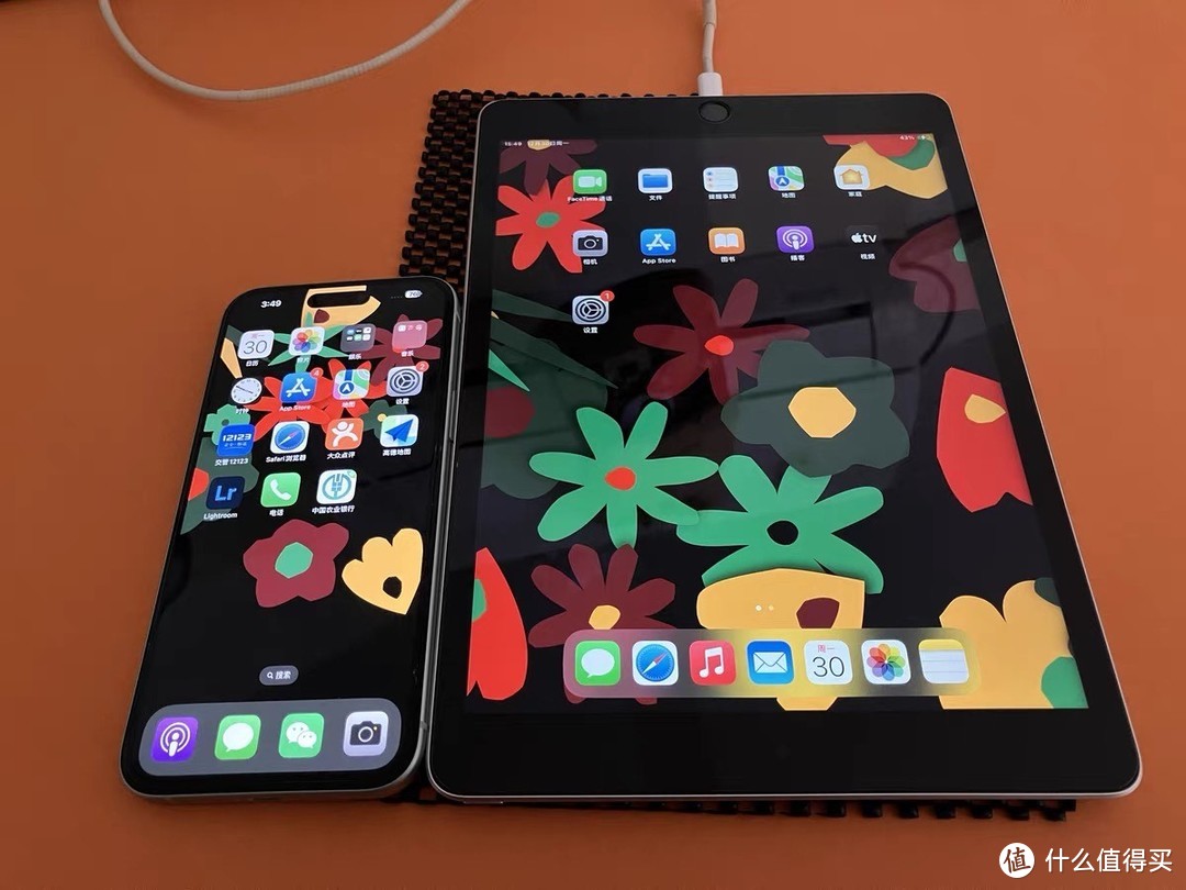 Apple苹果iPad 9：10.2英寸大屏，256GB存储，工作效率翻倍！