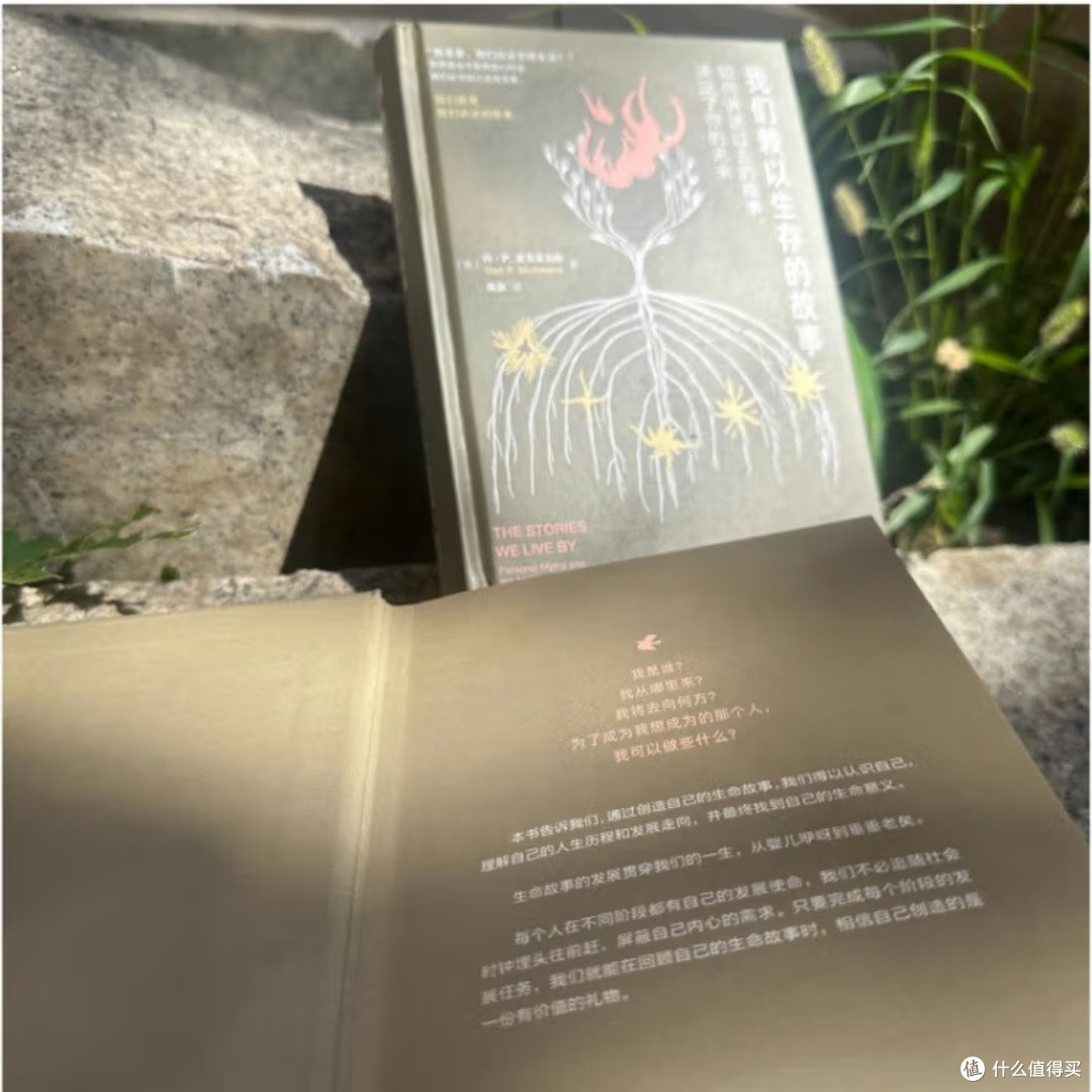 回忆的力量：如何用故事塑造未来？_心理学_什么值得买