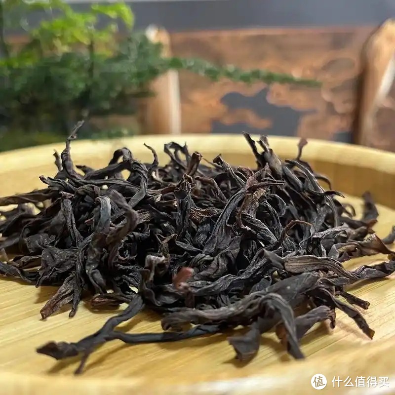 什么是“乌龙茶”？哪产的最好喝？今天一次全读懂，来，涨知识了