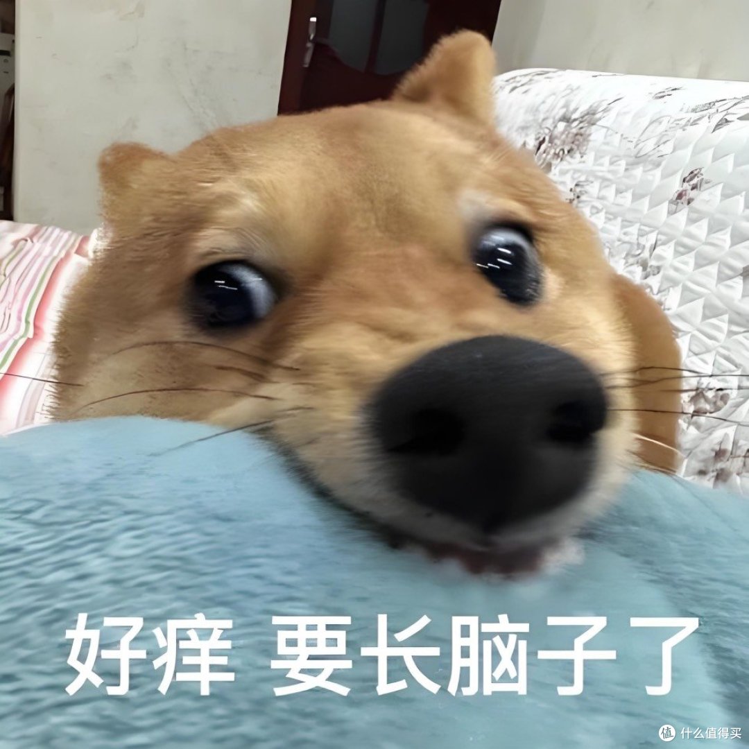 十大烘干衣机品牌：全方位深度测评，为你解答烘干机什么牌子好！