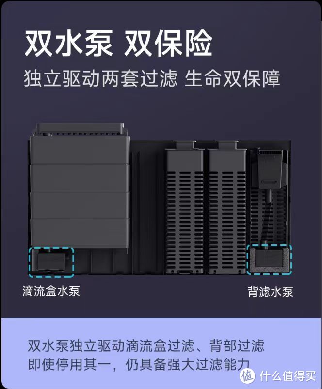 当贝智能鱼缸1Ultra评测——最省心的全能选手