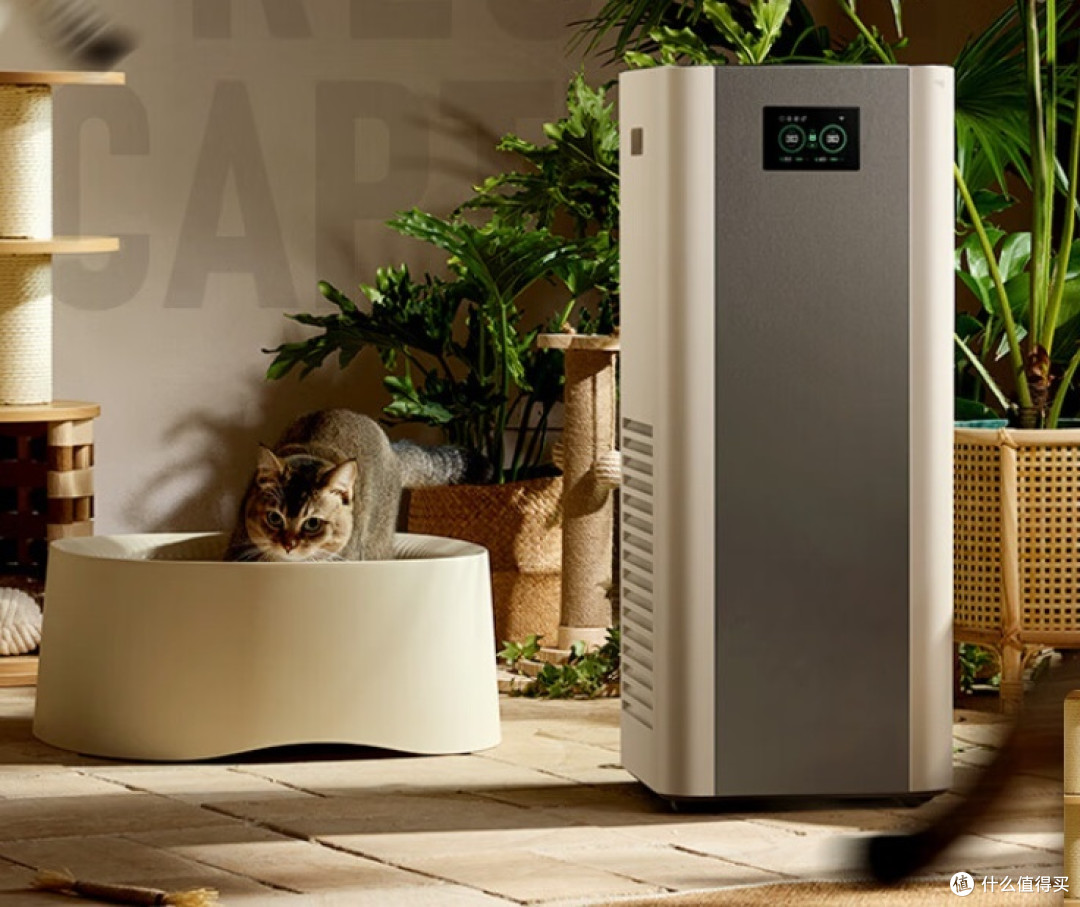 SPA会所空气净化器买什么牌子？性价比高的SPA会所空气净化器测评