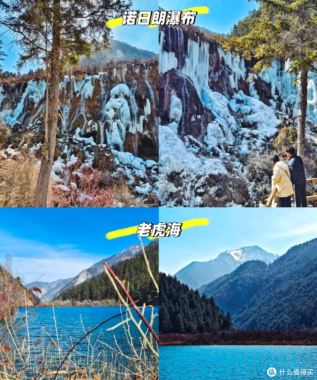 冬日仙境，九寨奇缘：春节之旅