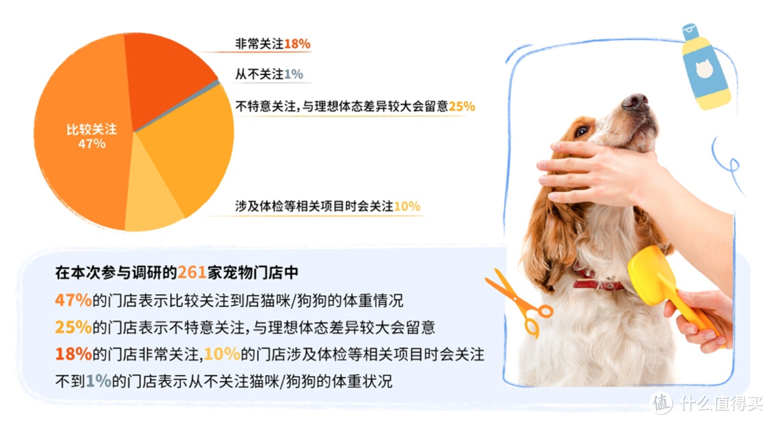 重磅｜中国首份针对宠物肥胖状况调研报告正式发布