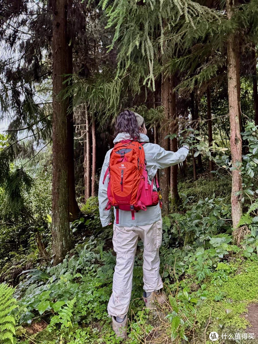 骆驼山栖登山包：户外出行的完美搭档