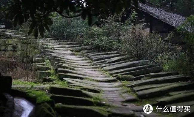 我的宝藏目的地——哀牢山风景区