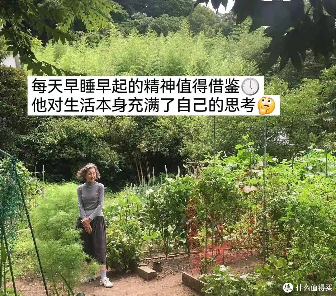 又一74岁奶奶的极简生活火了，不拖沓、轻断舍，却治愈了很多人！