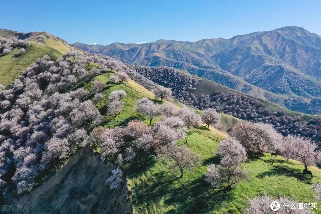 错峰出游好去处：新疆伊犁，人少景美的春日秘境