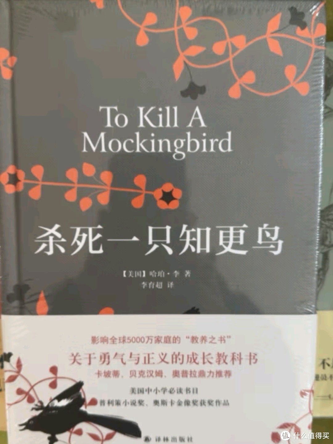 经典读物启迪女性智慧 —— 以《杀死一只知更鸟》为例