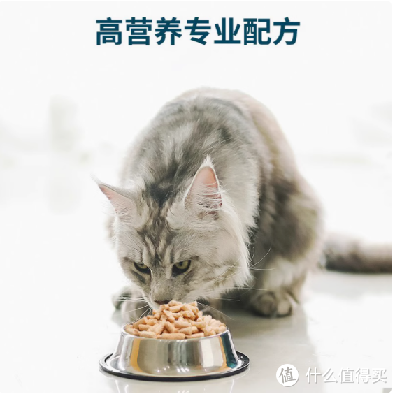 铲屎官必看！鲜朗冻干生骨肉全价猫粮（鸡肉味）实力出圈