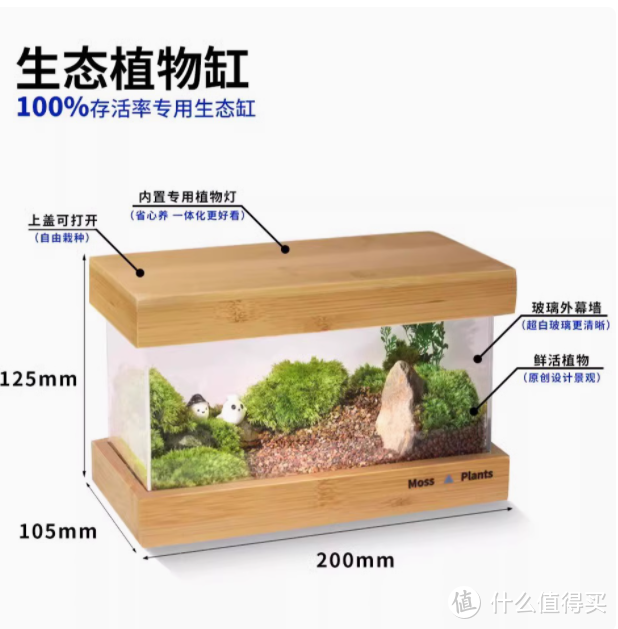 给闺蜜的绿意惊喜：苔藓微景观生态植物缸🎁