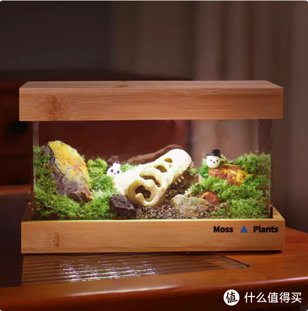 给闺蜜的绿意惊喜：苔藓微景观生态植物缸🎁