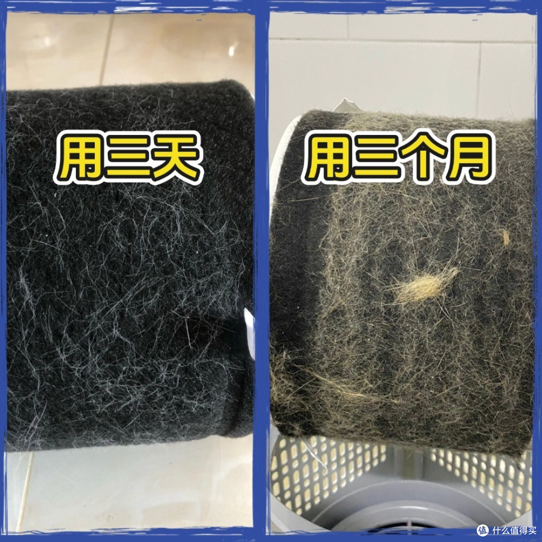 猫毛空气净化器哪个好用？看养猫空气净化器十大排名，对比选购